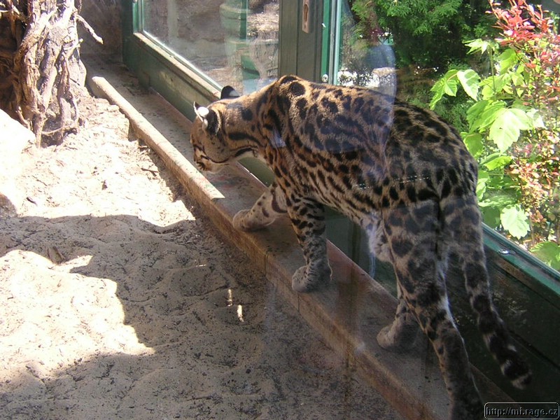 DSCN2281.JPG