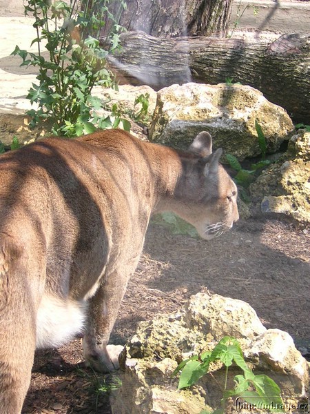 DSCN2285.JPG