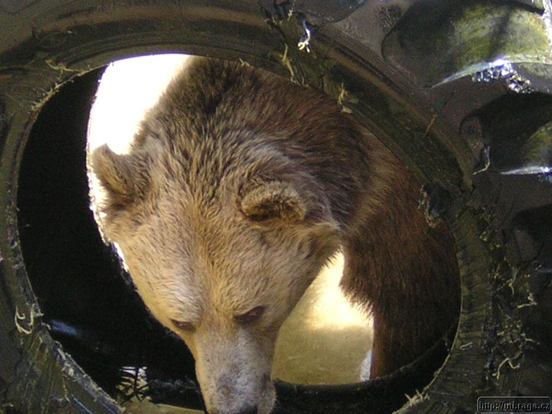 DSCN2290.JPG