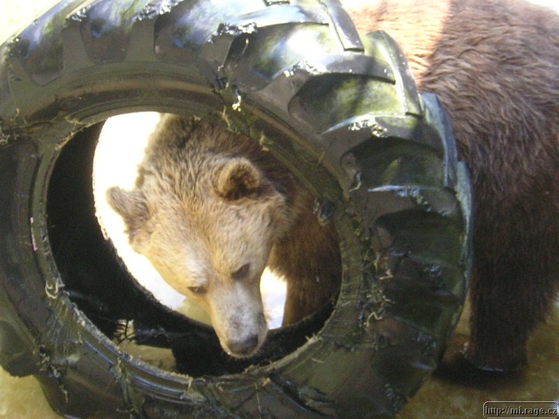 DSCN2291.JPG