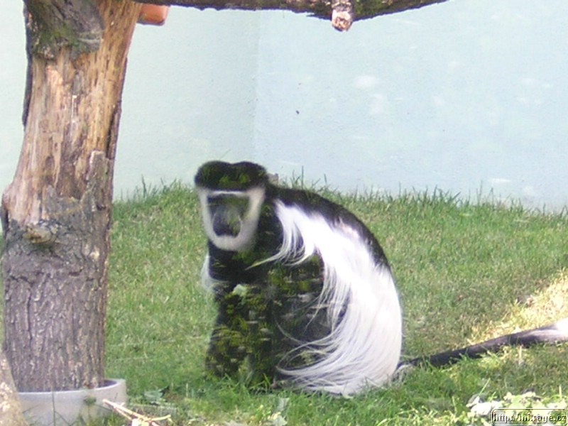 DSCN2299.JPG