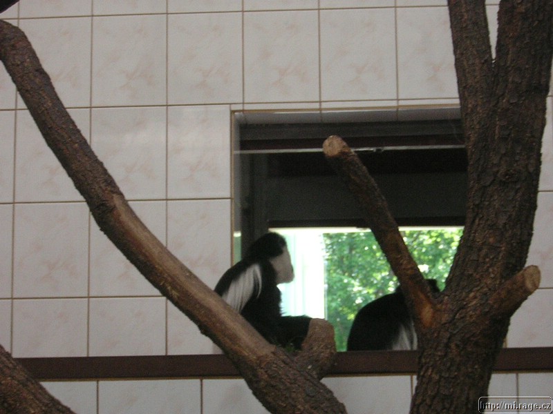 DSCN2303.JPG