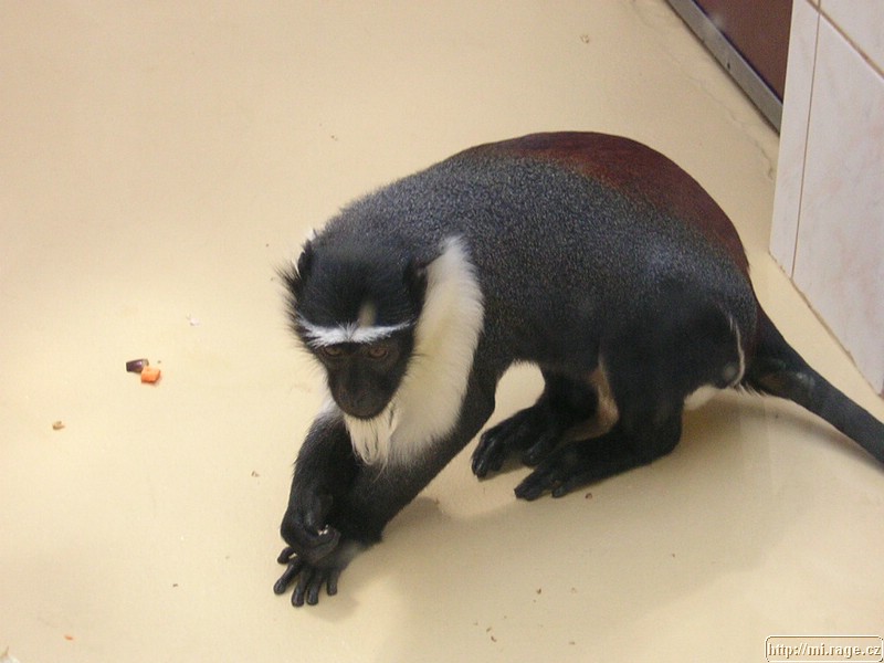 DSCN2305.JPG