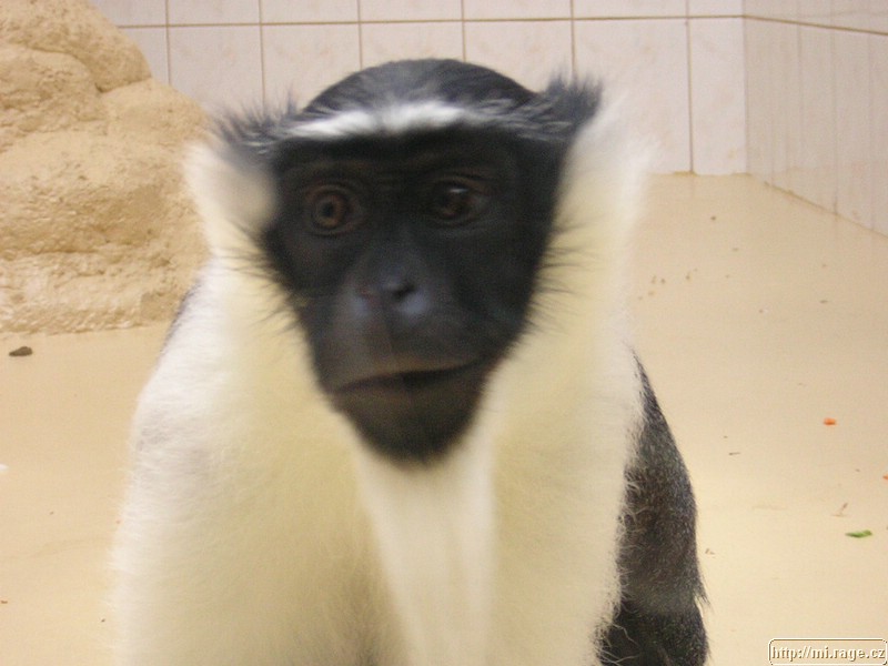 DSCN2307.JPG