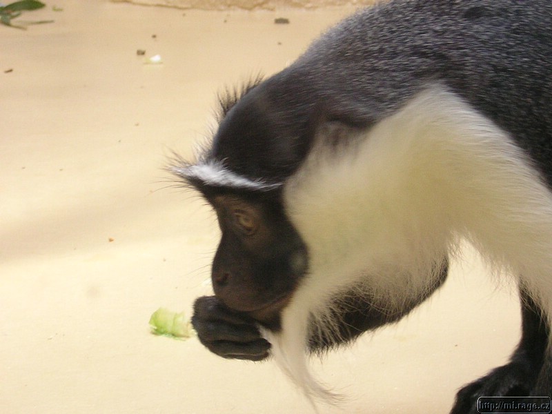DSCN2308.JPG