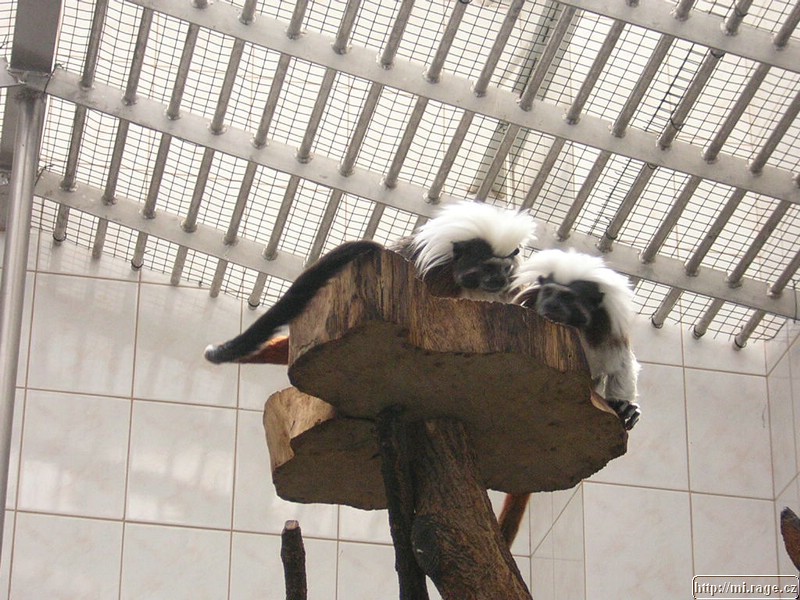 DSCN2312.JPG