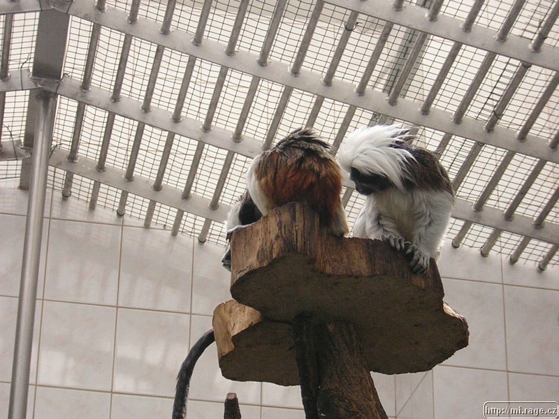 DSCN2313.JPG