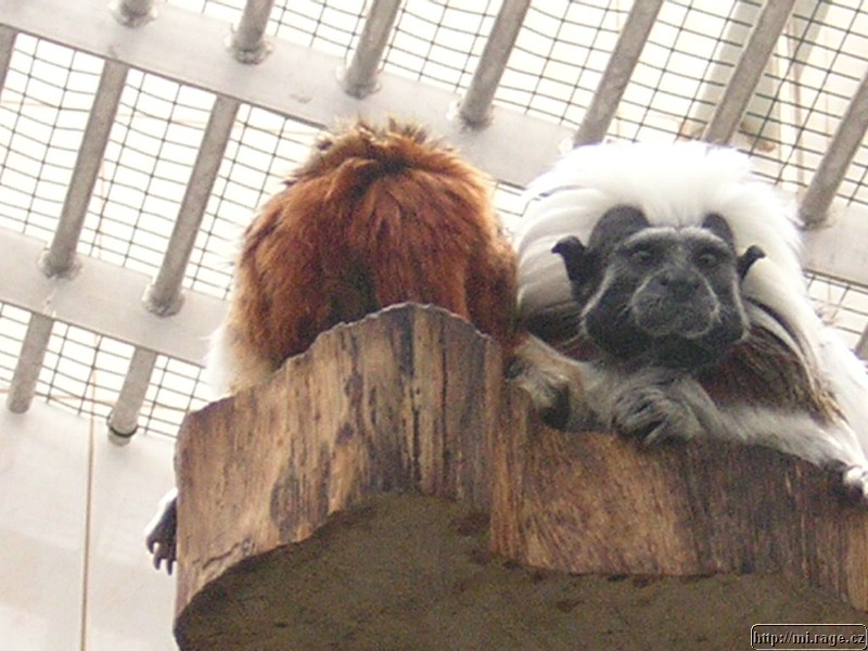 DSCN2315.JPG