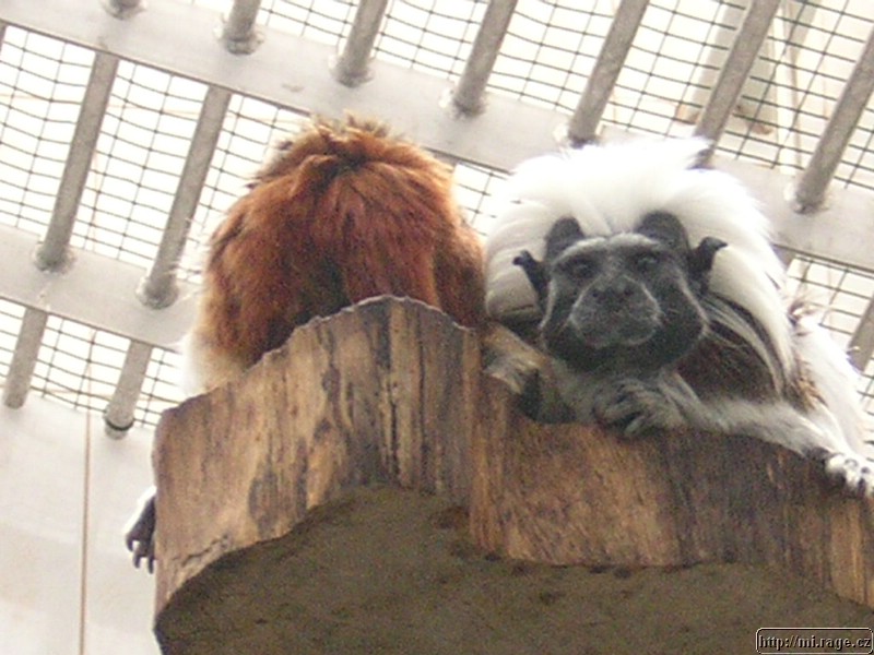 DSCN2316.JPG