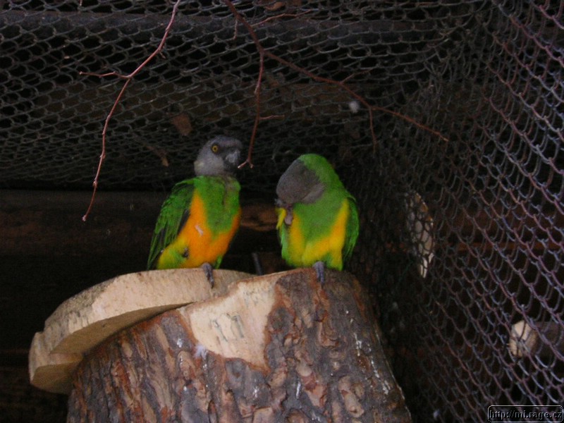 DSCN2320.JPG