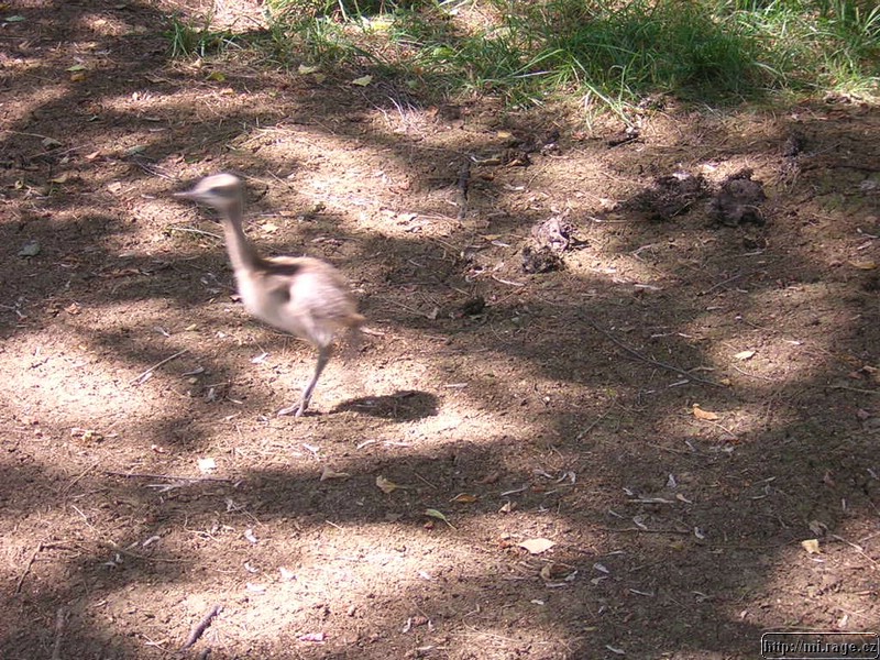 DSCN2330.JPG