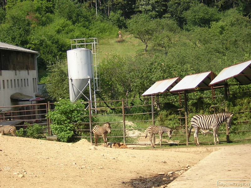 DSCN2379.JPG