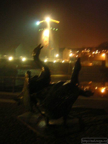 DSCN1499.JPG