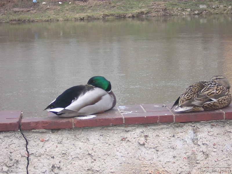 DSCN2082.JPG
