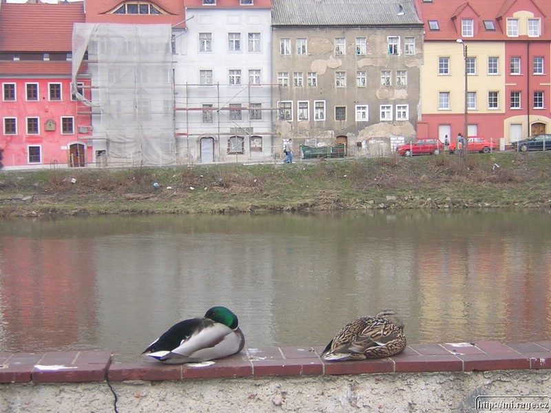 DSCN2084.JPG