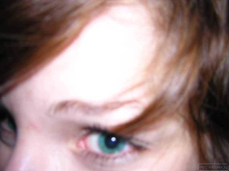 DSCN7731.JPG