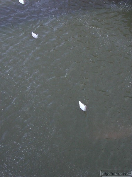 DSCN6436.JPG