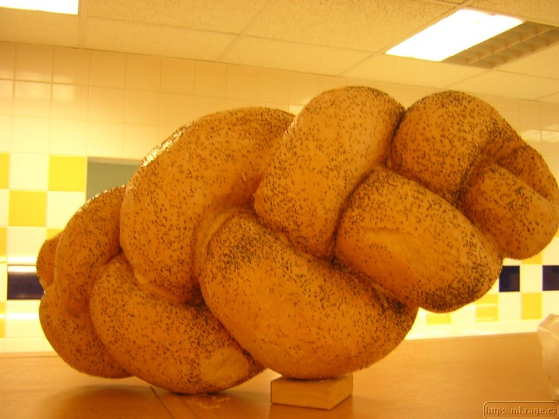 DSCN6509.JPG