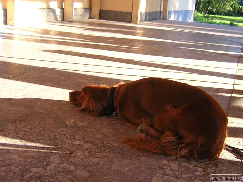 DSCN3628.JPG