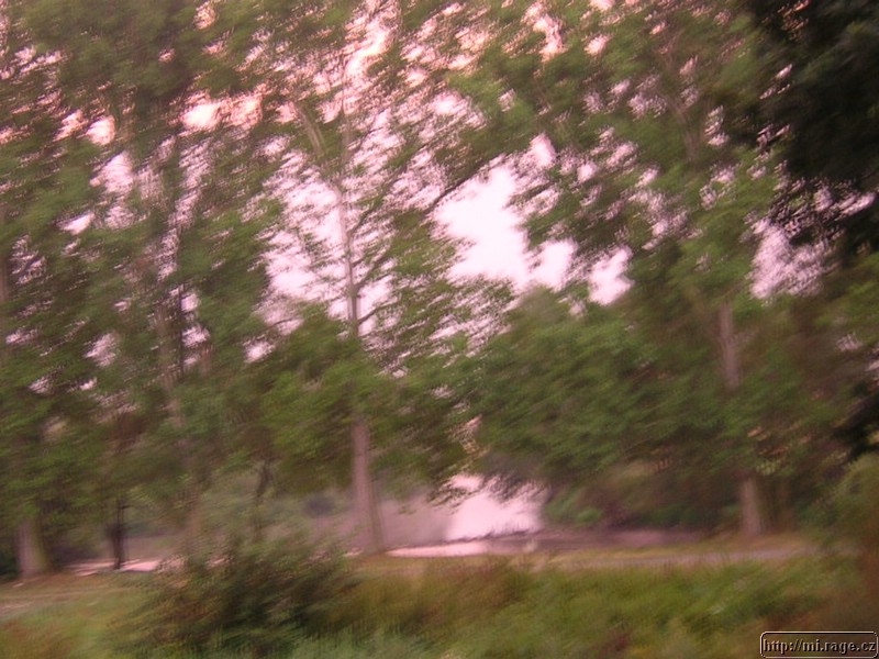 DSCN3642.JPG