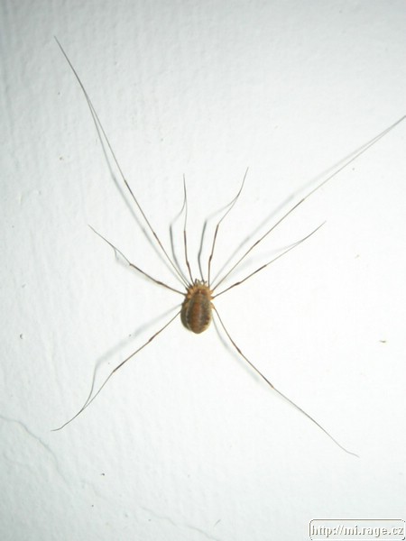 DSCN3647.JPG