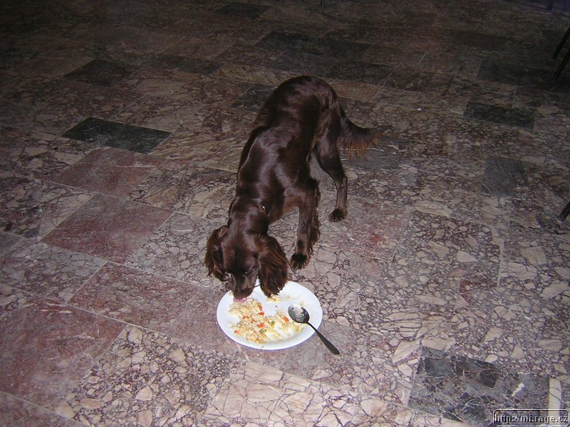 DSCN3653.JPG