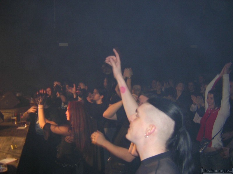 DSCN7466.JPG