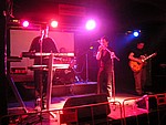 DSCN7799.JPG