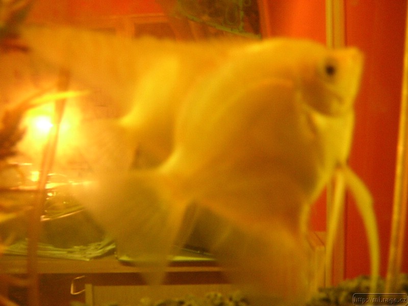 DSCN9516.JPG