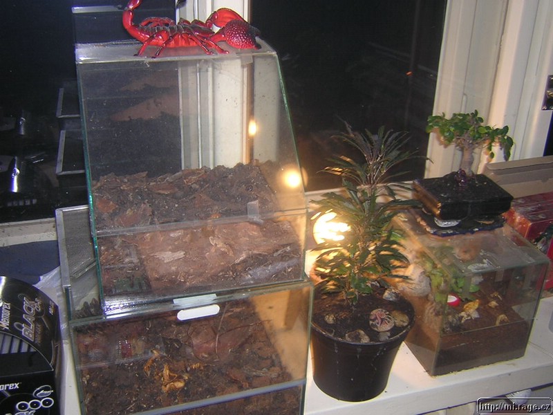 DSCN0707.JPG
