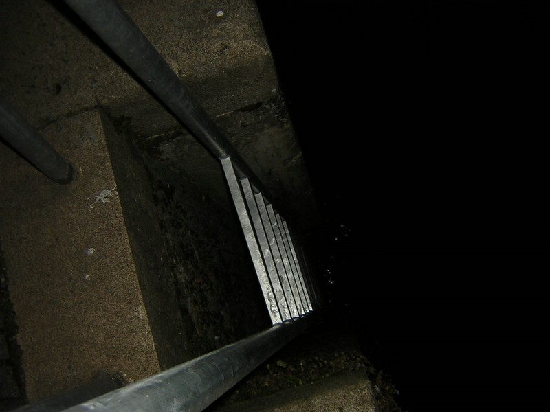 Dsco0321.JPG