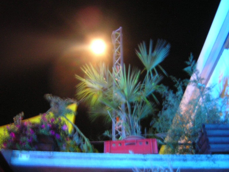 DSCN0285.JPG