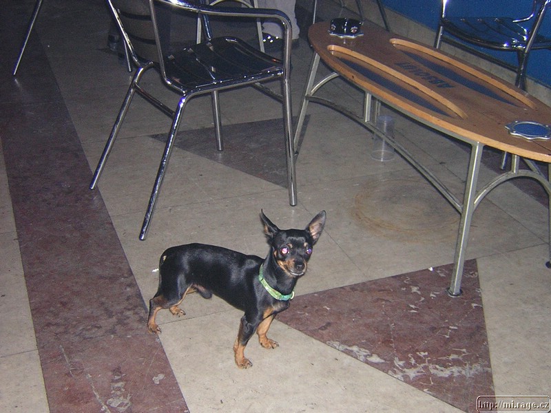 DSCN7085.JPG