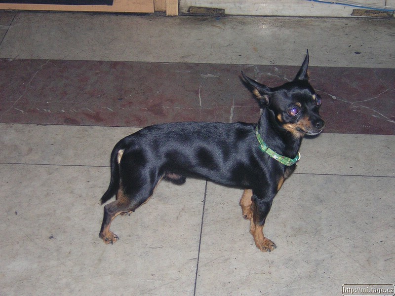 DSCN7086.JPG