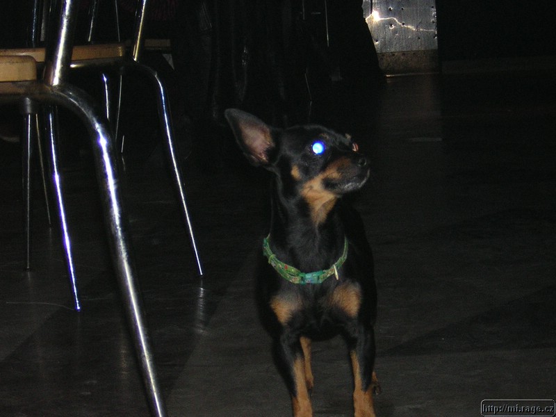 DSCN7089.JPG