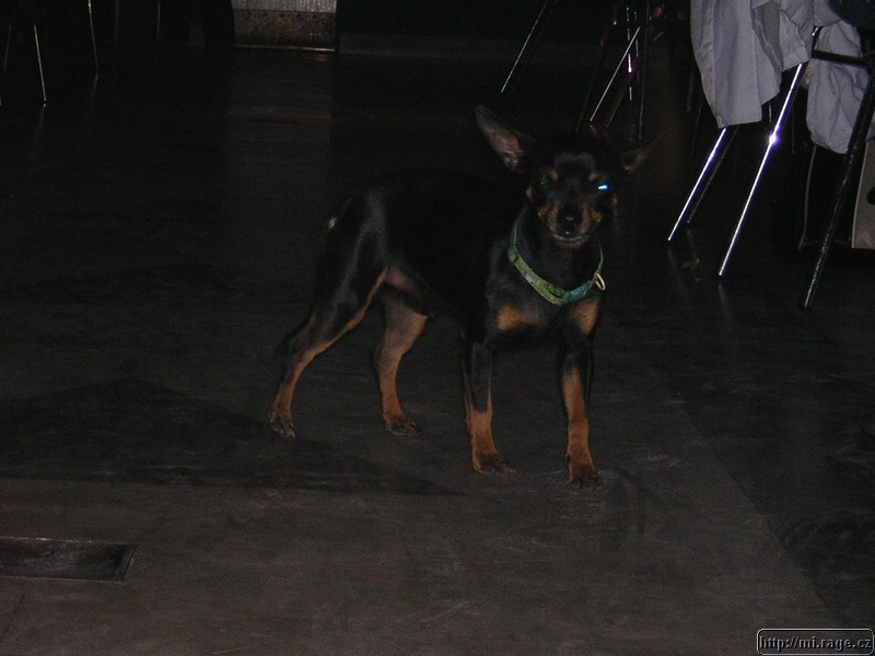 DSCN7091.JPG