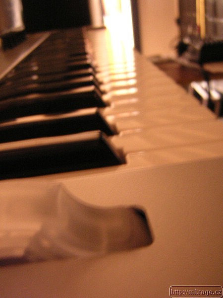 DSCN7599.JPG