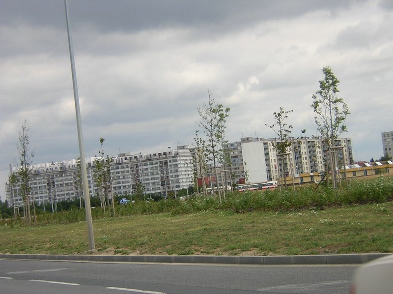 DSCN8636.JPG
