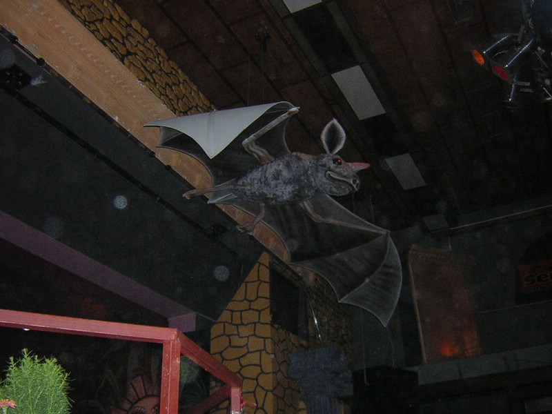 DSCN5521.JPG