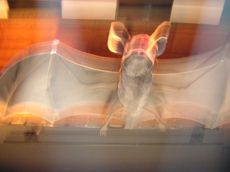 DSCN5704.JPG