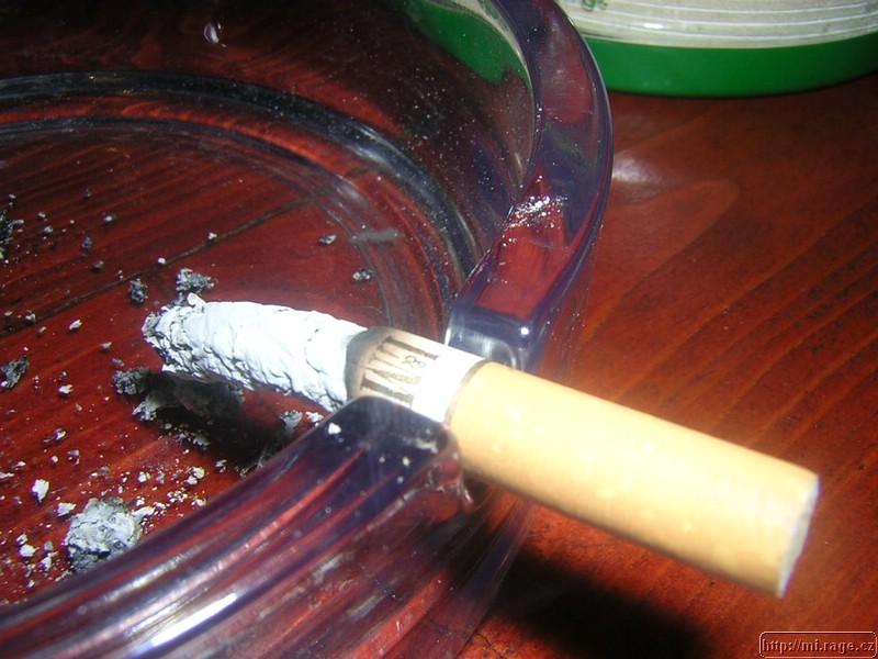 DSCN0005.JPG