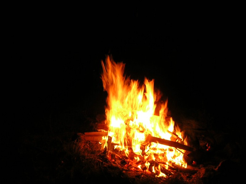 DSCN8123.JPG