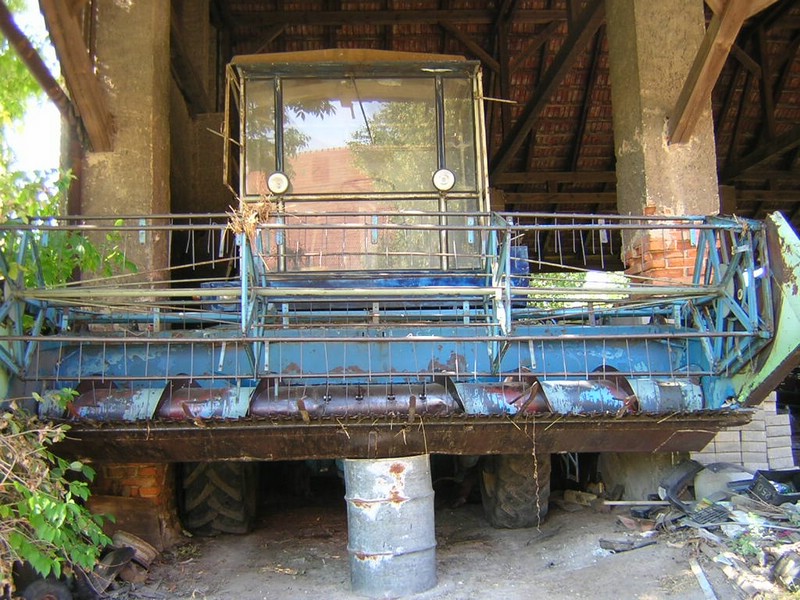 DSCN8139.JPG