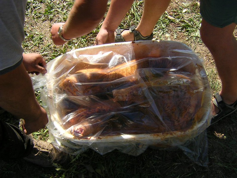 DSCN8157.JPG