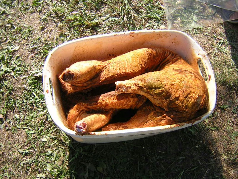 DSCN8158.JPG