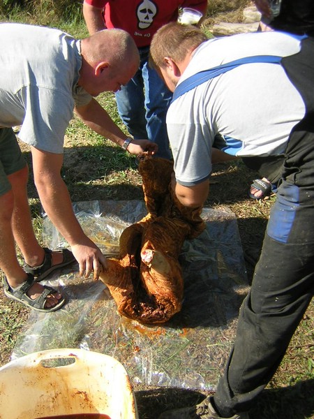 DSCN8160.JPG