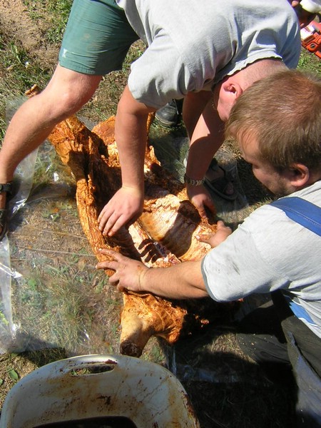 DSCN8163.JPG