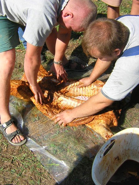 DSCN8164.JPG