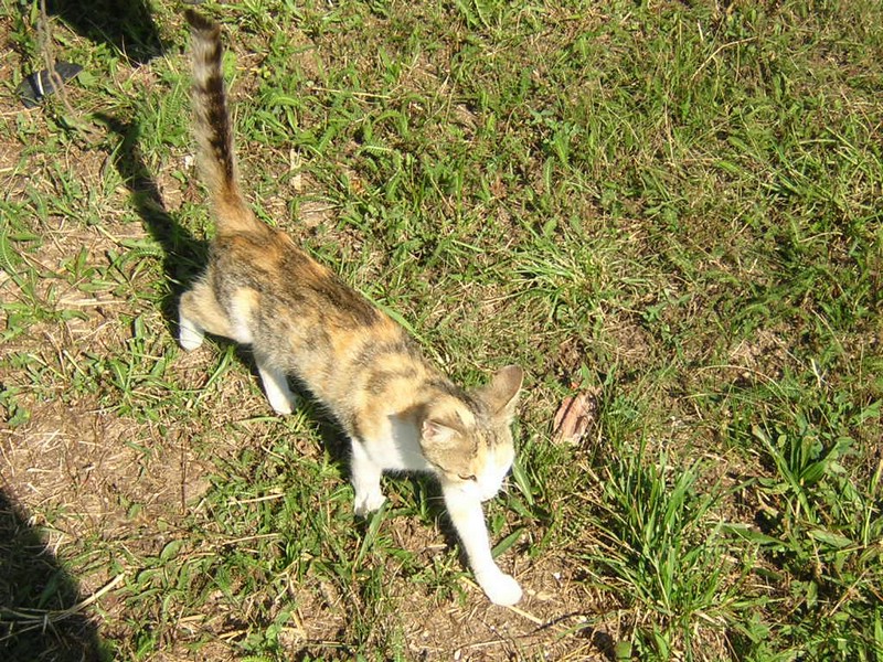 DSCN8171.JPG