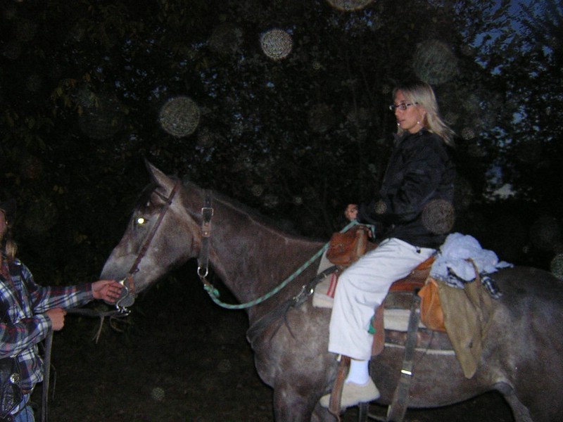 DSCN8178.JPG